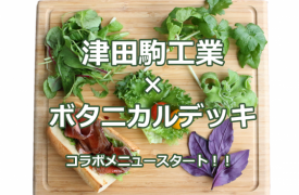 津田駒さんアイキャッチ